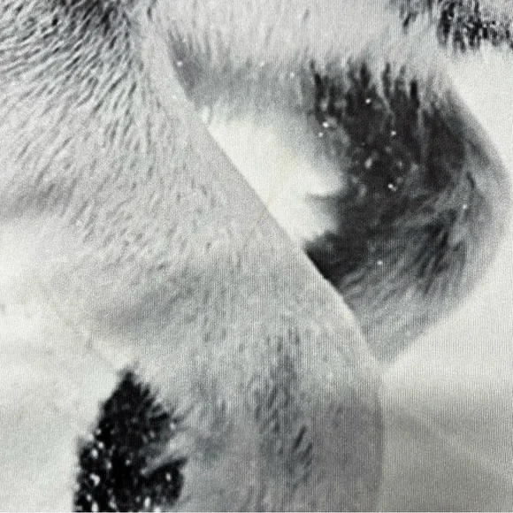 Forrest Snow Wolf 3D All Over Graphic Print Short Sleeve T-Shirt Unisex XL - Picture 10 of 12